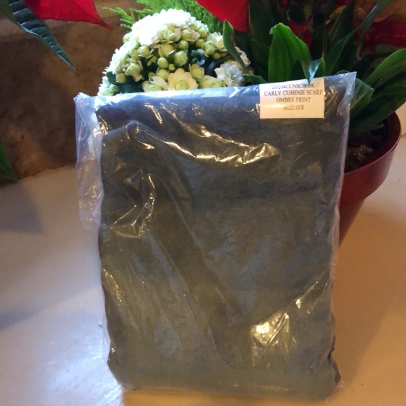 CUSHNIE OMBRE’ SCARF 🧣 - Picture 17 of 17